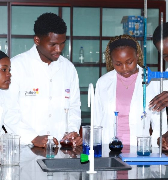 lab