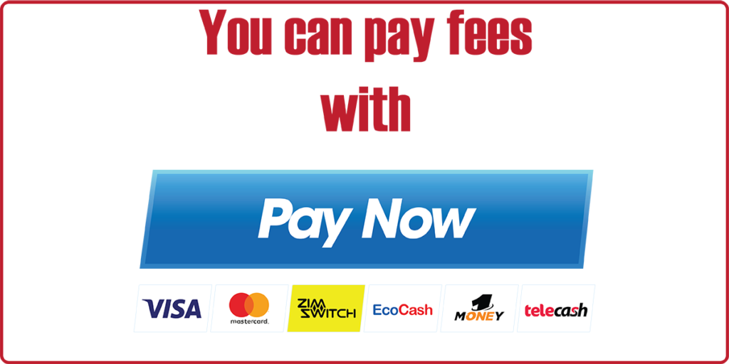 paynow-1024x512