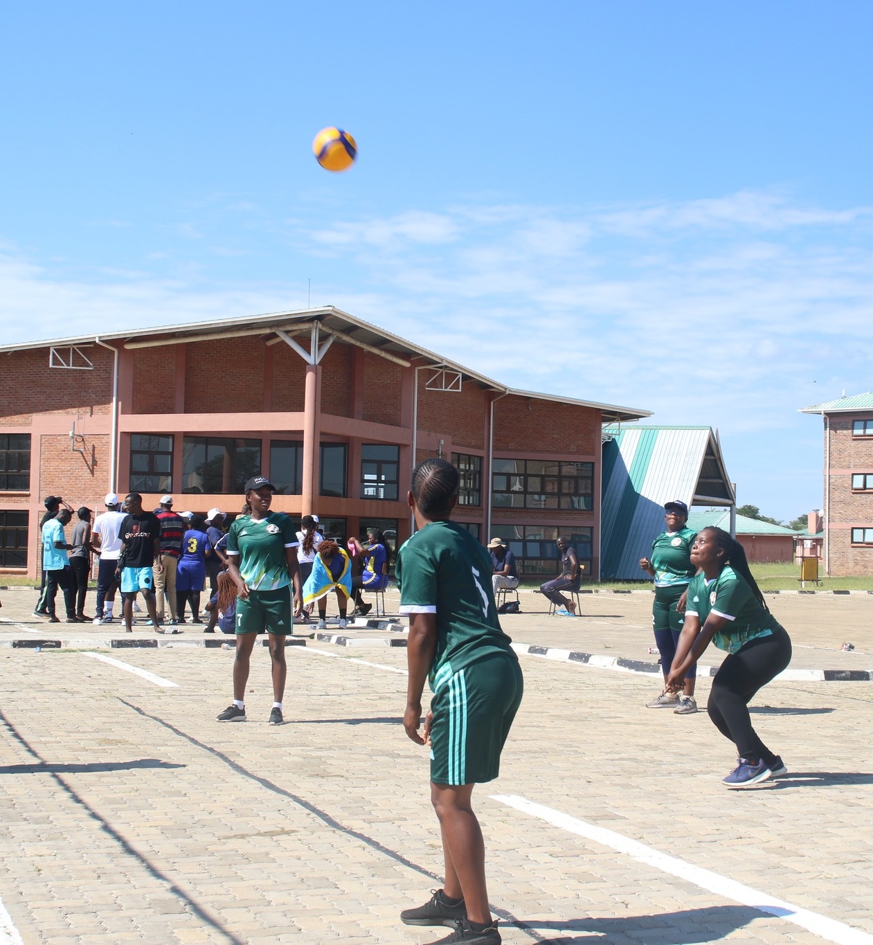 sports msuas voly 1