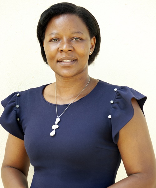 Chairperson : Mrs C Ruvinga