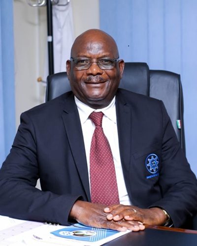 Dr Eng. Ben Rafemoyo- Council Chairperson